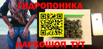 крисы Обнинск