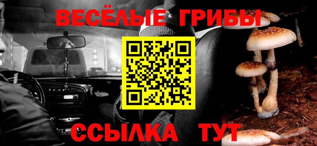 Псилоцибиновые грибы ЛСД  Галлюциногенные грибы GOLDEN TEACHER  Вход с VPN  Рыбинск 