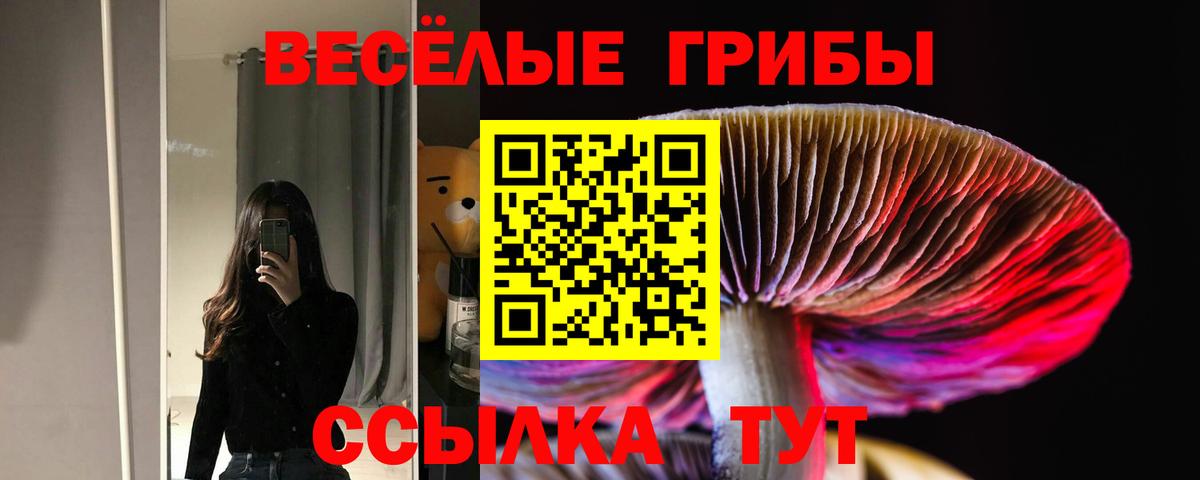 Галлюциногенные грибы Cubensis Рыбинск